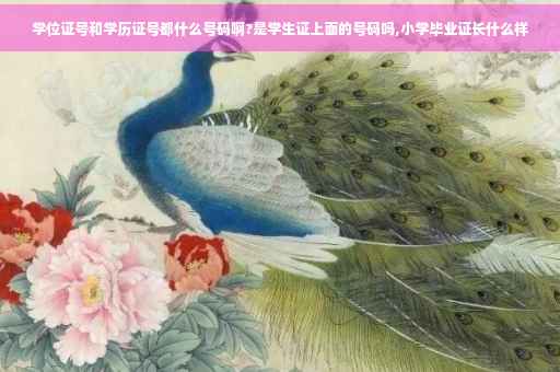 学位证号和学历证号都什么号码啊?是学生证上面的号码吗,小学毕业证长什么样