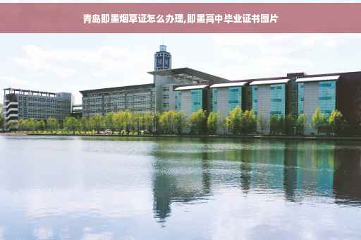 青岛即墨烟草证怎么办理,即墨高中毕业证书图片