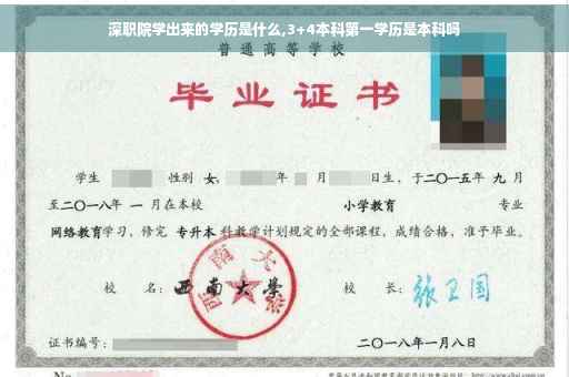 深职院学出来的学历是什么,3+4本科第一学历是本科吗