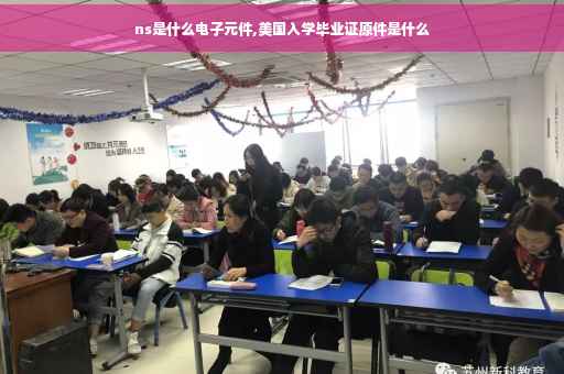 ns是什么电子元件,美国入学毕业证原件是什么