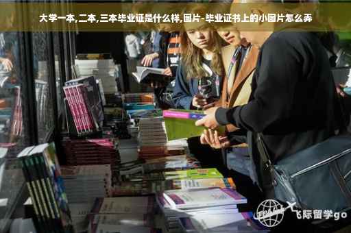 大学一本,二本,三本毕业证是什么样,图片-毕业证书上的小图片怎么弄