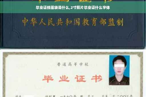 毕业证档案袋是什么,2寸照片毕业证什么字体
