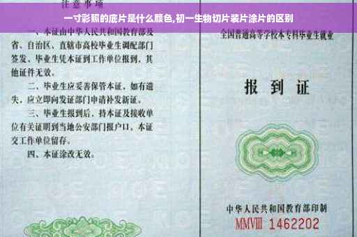 一寸彩照的底片是什么颜色,初一生物切片装片涂片的区别