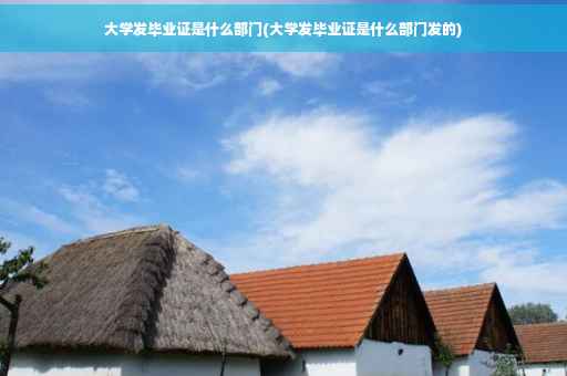 大学发毕业证是什么部门(大学发毕业证是什么部门发的)