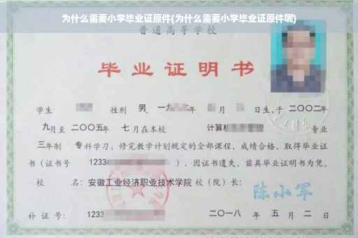 为什么需要小学毕业证原件(为什么需要小学毕业证原件呢)