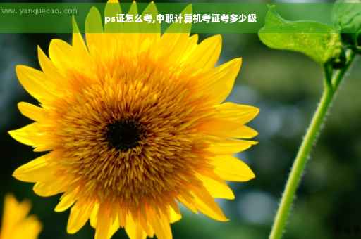 ps证怎么考,中职计算机考证考多少级