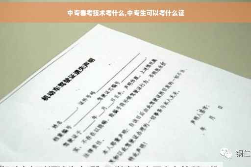 中专春考技术考什么,中专生可以考什么证