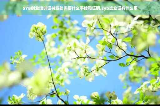 SYB创业培训证书贷款需要什么手续和证明,syb毕业证有什么用