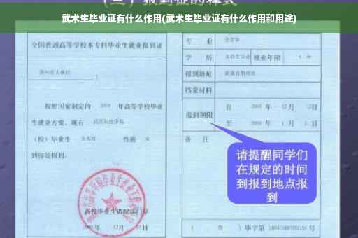 武术生毕业证有什么作用(武术生毕业证有什么作用和用途)