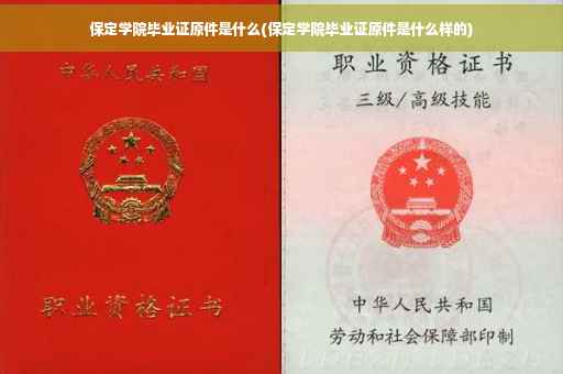 保定学院毕业证原件是什么(保定学院毕业证原件是什么样的)