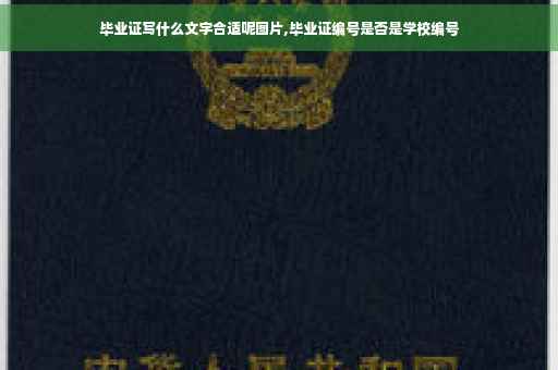 毕业证写什么文字合适呢图片,毕业证编号是否是学校编号