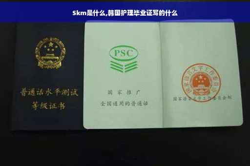Skm是什么,韩国护理毕业证写的什么