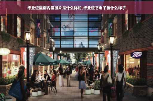 毕业证里面内容图片是什么样的,毕业证书电子档什么样子