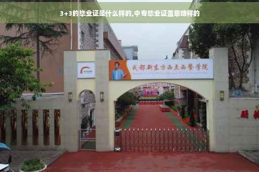 3+3的毕业证是什么样的,中专毕业证盖章啥样的