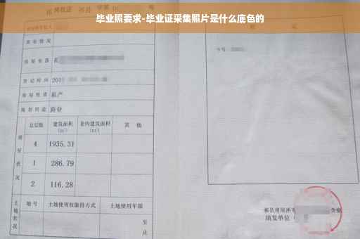 毕业照要求-毕业证采集照片是什么底色的