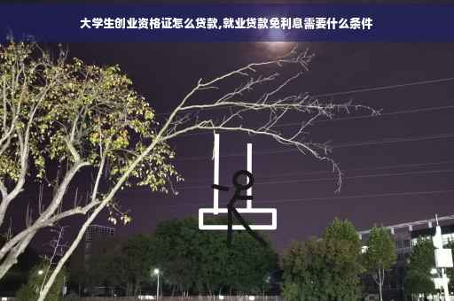 大学生创业资格证怎么贷款,就业贷款免利息需要什么条件
