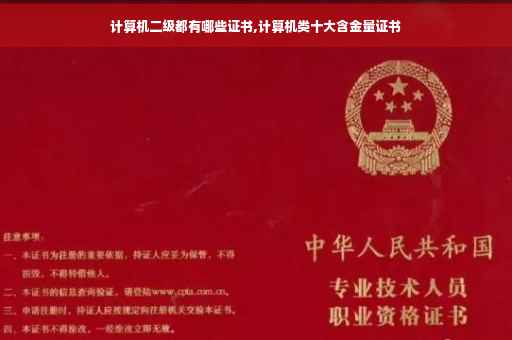 计算机二级都有哪些证书,计算机类十大含金量证书