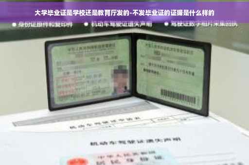 大学毕业证是学校还是教育厅发的-不发毕业证的证据是什么样的