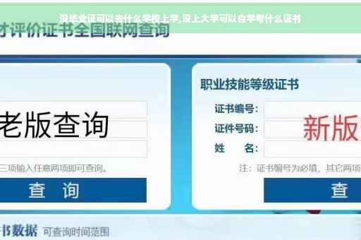 没毕业证可以去什么学校上学,没上大学可以自学考什么证书