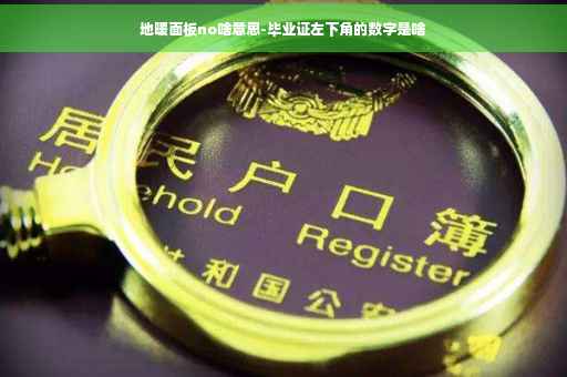 地暖面板no啥意思-毕业证左下角的数字是啥