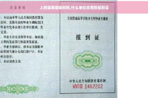 上岗需要哪些材料,什么单位会用到报到证