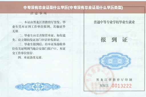 中专没有毕业证是什么学历(中专没有毕业证是什么学历类型)