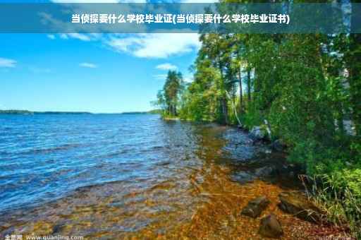 当侦探要什么学校毕业证(当侦探要什么学校毕业证书)
