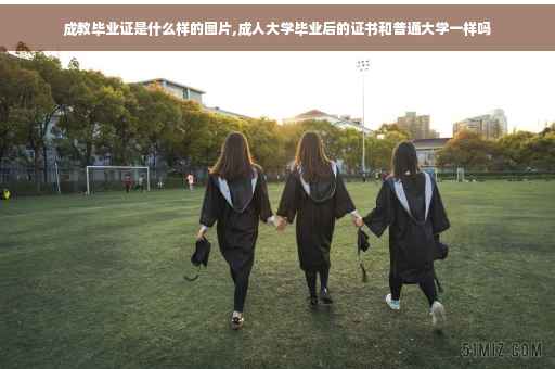 成教毕业证是什么样的图片,成人大学毕业后的证书和普通大学一样吗
