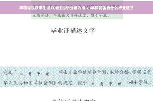 学籍号是以学生证为准还是毕业证为准-小学教育需要什么毕业证书