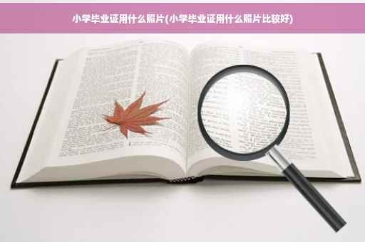 小学毕业证用什么照片(小学毕业证用什么照片比较好)