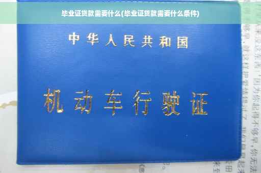 毕业证贷款需要什么(毕业证贷款需要什么条件)