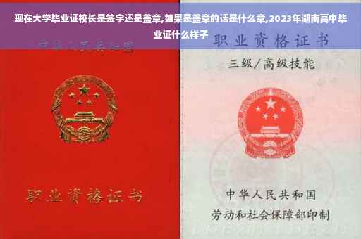 现在大学毕业证校长是签字还是盖章,如果是盖章的话是什么章,2023年湖南高中毕业证什么样子
