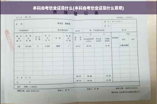 本科自考毕业证是什么(本科自考毕业证是什么意思)