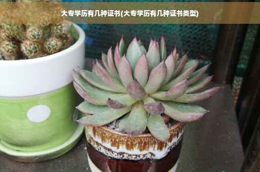 大专学历有几种证书(大专学历有几种证书类型)
