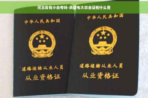 河北省有小自考吗-承德电大毕业证有什么用