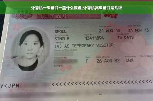 计算机一级证书一般什么颜色,计算机高级证书是几级