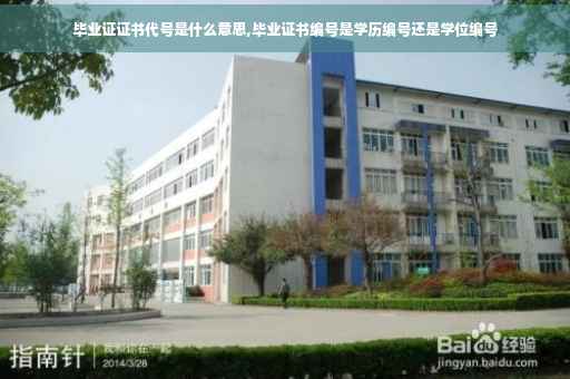 毕业证证书代号是什么意思,毕业证书编号是学历编号还是学位编号