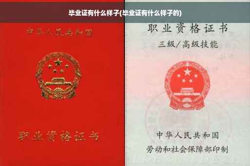 毕业证有什么样子(毕业证有什么样子的)