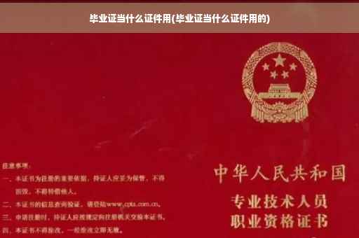 毕业证当什么证件用(毕业证当什么证件用的)