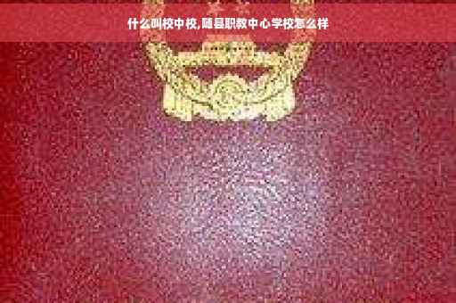 什么叫校中校,随县职教中心学校怎么样
