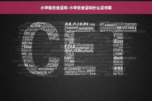 小学有毕业证吗-小学毕业证叫什么证书啊