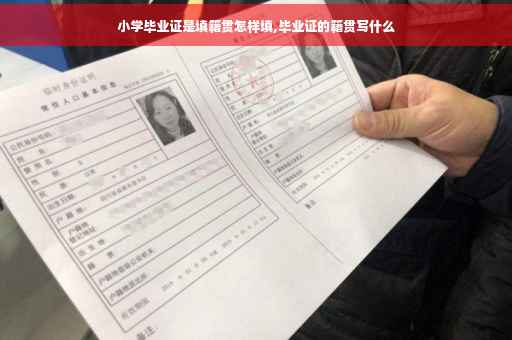 小学毕业证是填籍贯怎样填,毕业证的籍贯写什么