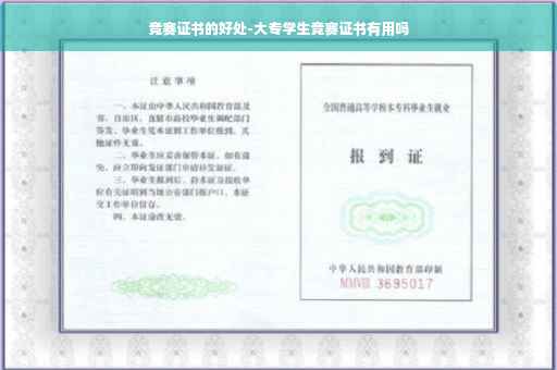 竞赛证书的好处-大专学生竞赛证书有用吗