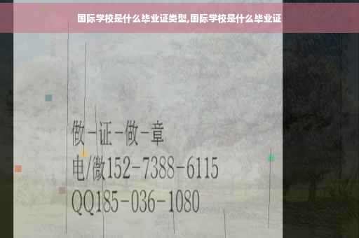 国际学校是什么毕业证类型,国际学校是什么毕业证