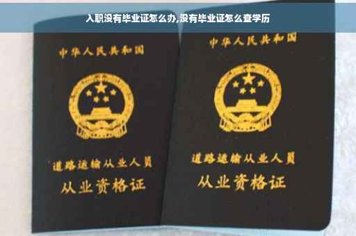 入职没有毕业证怎么办,没有毕业证怎么查学历