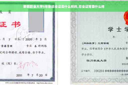 黎明职业大学5年制毕业证是什么样的,毕业证背面什么样