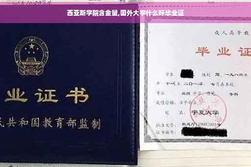 西亚斯学院含金量,国外大学什么好毕业证
