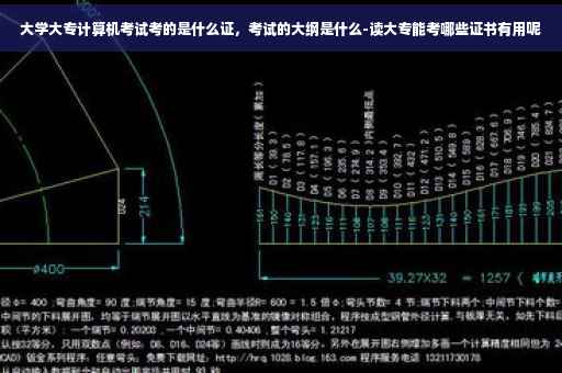 大学大专计算机考试考的是什么证，考试的大纲是什么-读大专能考哪些证书有用呢