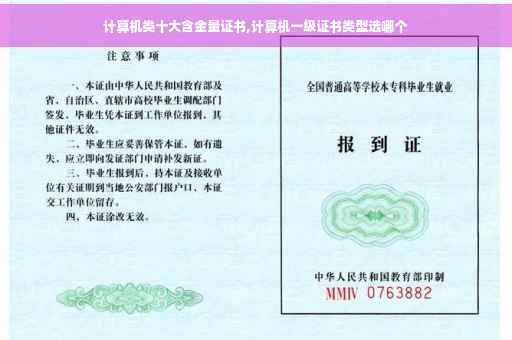 计算机类十大含金量证书,计算机一级证书类型选哪个