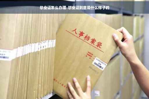 毕业证怎么办理-毕业证到底是什么样子的